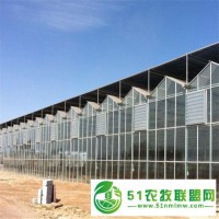 新型生态玻璃温室定制温室建设工程