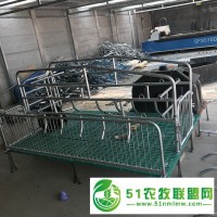 单体双体母猪产床设备制造商生产厂家