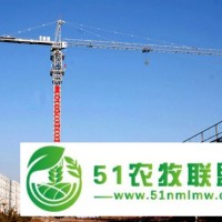 25吨大型水坝建设使用塔机