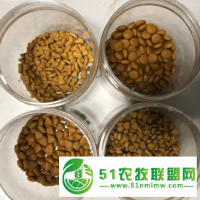 犬粮猫粮生产设备 宠物食品膨化机 厂家**希朗机械