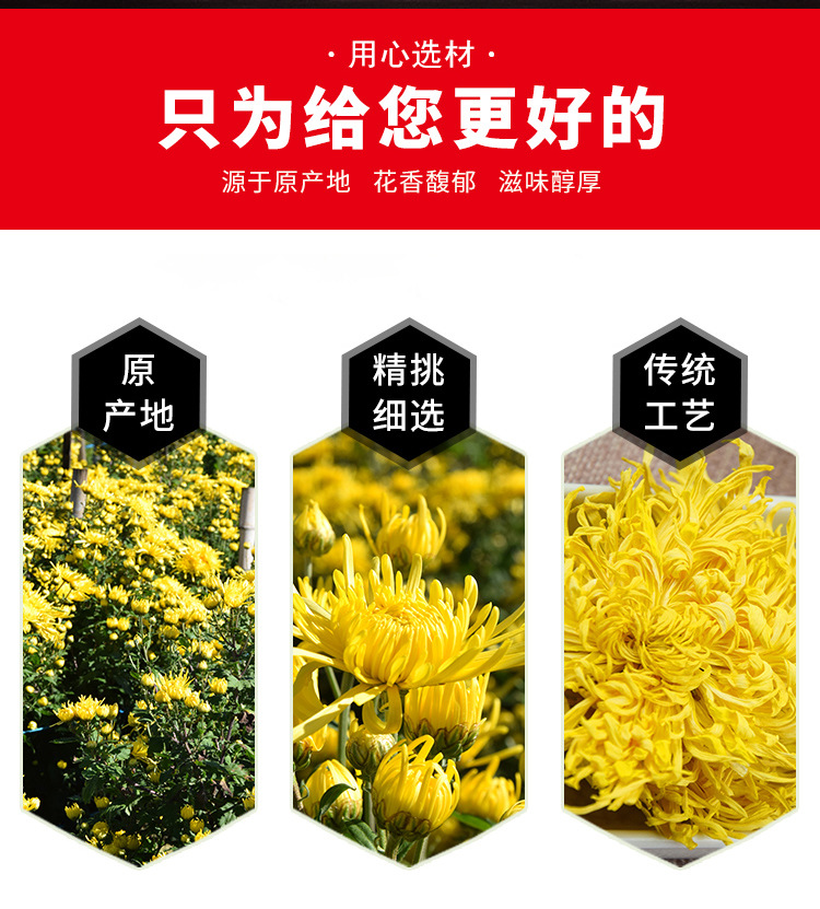 金丝皇菊1_02