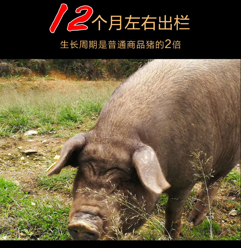 五花肉腊肉详情页_10.jpg