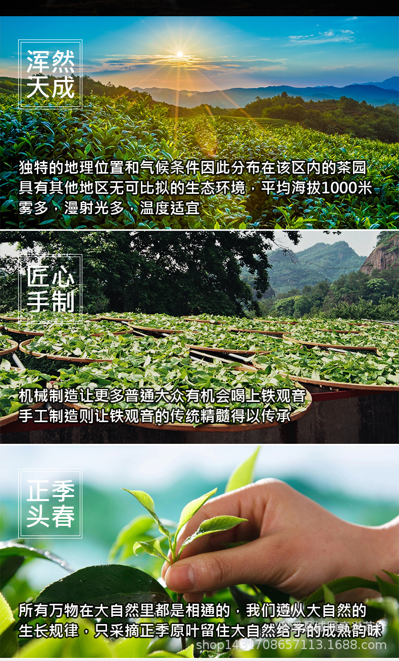 9罐送茶具正山小种_02.jpg