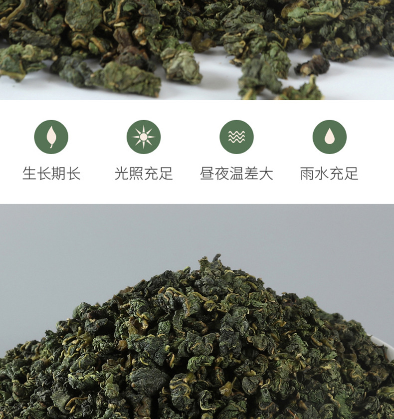 桑叶茶250克罐装05