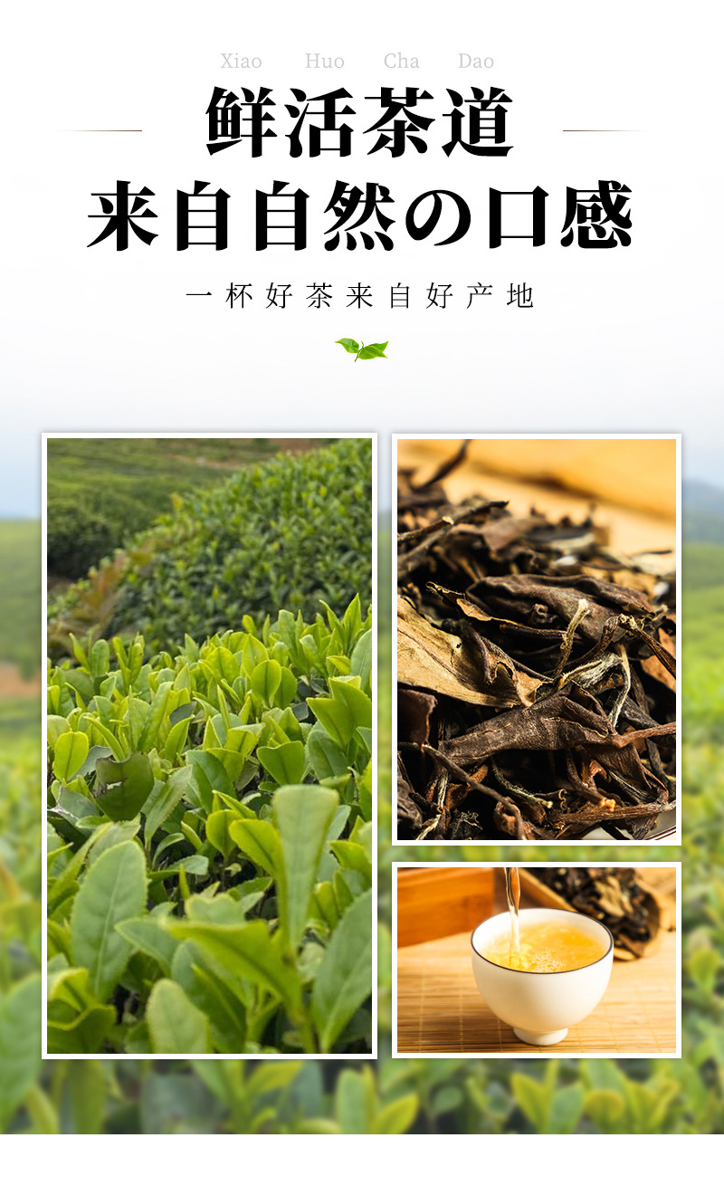 福润茶叶-2012梅子香寿眉老白茶_03