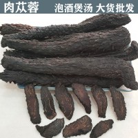 批发 肉苁蓉 整只肉苁蓉根 油苁蓉个 肉苁蓉切片 软质大芸 泡酒料