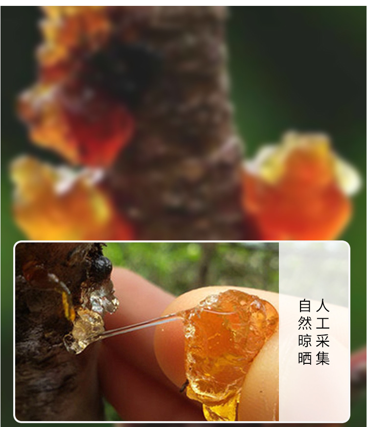 水洗珍珠桃胶----250克_05