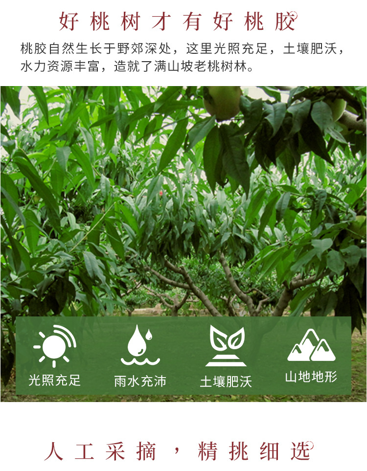 水洗珍珠桃胶----250克_04