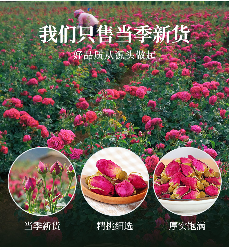 散茶玫瑰花-详情_07.jpg