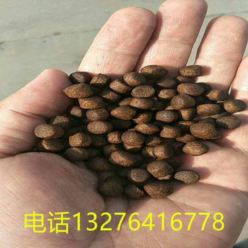 黑鱼饲料1