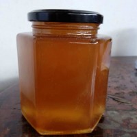 原生态农家自产土蜂蜜散装 桶装自然龙眼蜂蜜厂家大桶装厂家批发