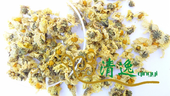 杭白菊 (14)