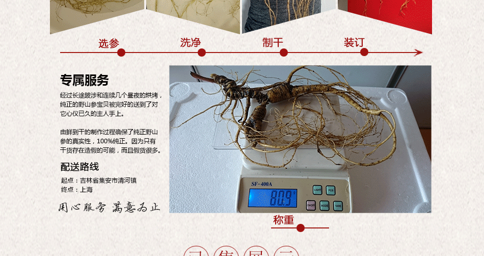 残150年以上野山参_24