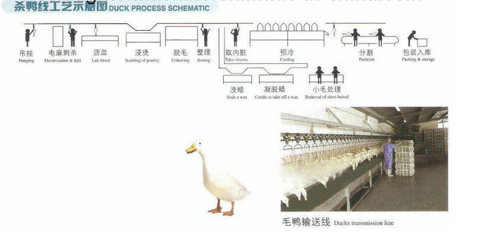 产品概述