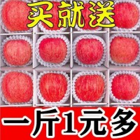【精选】高山冰糖心红富士苹果水果新鲜脆甜特价多规格整箱批发