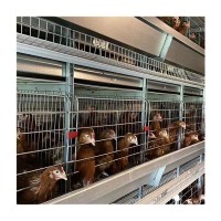 框架蛋鸡笼厂家养殖场层叠式鸡笼子H型鸡笼工业自动化养鸡设备