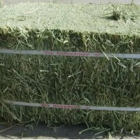 苜蓿草草捆干草牛羊草料 今年新草草捆小捆 草块草砖一吨苜蓿草