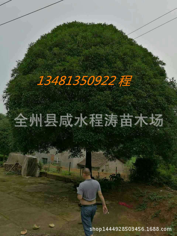 mmexport1484731496171_副本