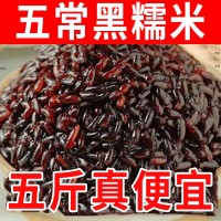 东北黑糯米血糯米农家自种黑米粥粽子饭团新米粗杂粮黑米当季