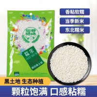 东北糯米200g装米端午节新米江米包粽子专用酿酒商用粘米批发