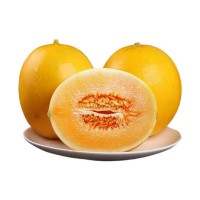 黄河蜜瓜新鲜上市香甜可口产地应季水果