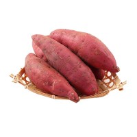 河南开封沙地红薯2斤新鲜上市产地新鲜可烤红薯招募代理批发