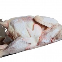 【大庄】冷冻老母鸡 蛋鸡 1年半以上老母鸡 22斤净重 去心肝肺