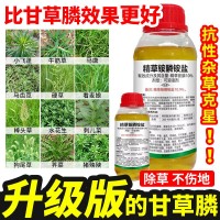 精草铵膦铵盐正品烂根剂荒地牛筋飞蓬灭杂草甘草膦农药强力除草剂