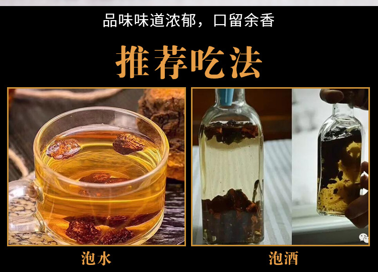 桦树茸4_12.jpg