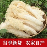 古田新货竹荪干货批发无硫长裙竹荪10g竹笙各种特产规格加工代发