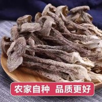 好货鹿茸菇直条鹿茸菇干货厂家直销10斤一箱