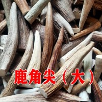 鹿角尖500克 鹿角实心手把件雕刻料原料吉林双阳鹿场直供免费打粉