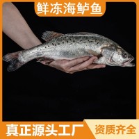 大鲈鱼鲜冻海鲈鱼海鲜水产七星鲈鱼冰冻深海鱼海鲈鱼水产活鱼鲜制