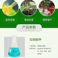 液体肥原料 亚磷酸钾清液肥 瓜果蔬菜冲施肥 多芬水溶肥