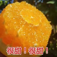 赣南脐橙新鲜应季水果超甜口感细腻爽口