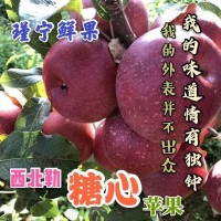 云南西北勒小苹果蒙自野生苹果冰糖心新鲜水果当季应季原生态水果