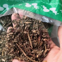 中药材莽草 春草 菵草 石桂 红桂 鼠莽 实物拍摄