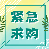 采购品种：芥菜种苗