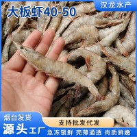 现货批发 大板虾40-50冷冻白虾盐冻虾商用整箱批发基地