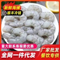 新鲜虾仁冷冻真空包装现剥虾仁无冰青虾仁去虾线鲜冻去肠虾仁批发