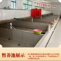 批发现货阳澄湖镇活体螃蟹精品礼盒六月黄公母鲜活大闸蟹中秋送礼