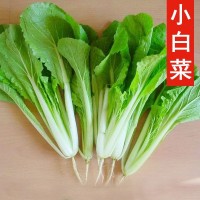 散装小白菜种子 农田菜地盆栽种植四季蔬菜脆嫩白菜籽