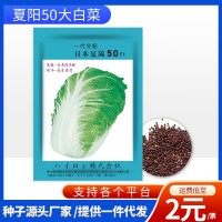 厂家批发代发快速耐抽苔日本夏阳50大白菜菜种子耐热耐寒蔬菜