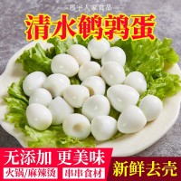 湖北洪湖恩宇去壳清水鹌鹑蛋200g*30袋火锅麻辣烫食材批发