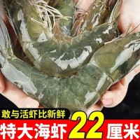 顺丰包邮大虾鲜活超大基围虾青岛海虾特大虾速冻海鲜水产生鲜虾类