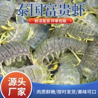 松发水产鲜活泰式生腌呛大虾开背去虾线无皮虾泰国富贵虾可生食用