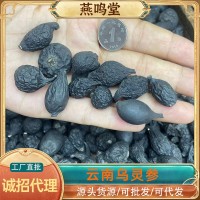 燕鸣堂云南也生乌灵参干货鸡枞蛋雷震子鸡茯苓吊金钟乌苓参中药材