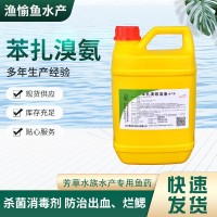 苯扎溴铵溶液 杀菌消毒剂 防治出血、烂鳃 芳草水族水产专用鱼药