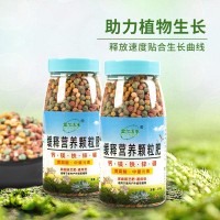 花卉绿植通用缓释肥250g/瓶花肥多肉颗粒控释肥复合肥料 一件代发