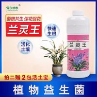 兰灵王兰花营养液525ml/瓶兰花君子兰肥料生根催芽EM菌液微生物菌